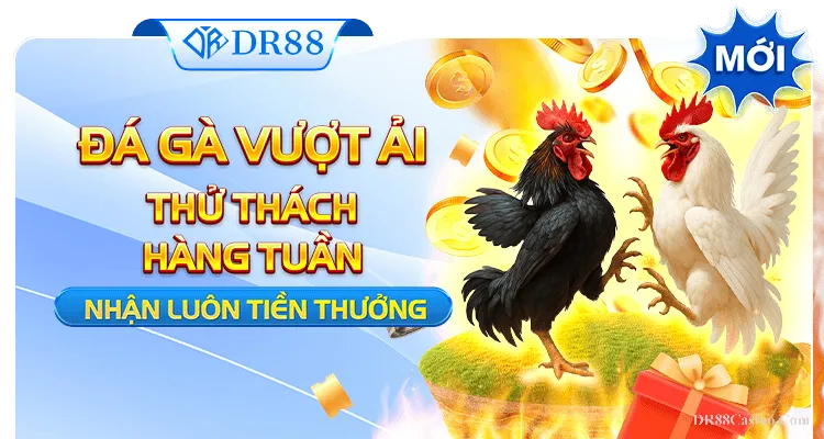 Bùng Nổ Cùng Sự Kiện “ĐÁ GÀ VƯỢT ẢI” – Thử Thách Hàng Tuần Nhận Ngay Tiền Thưởng 1 Bùng Nổ Cùng Sự Kiện “ĐÁ GÀ VƯỢT ẢI” – Thử Thách Hàng Tuần Nhận Ngay Tiền Thưởng